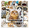 Funny Cat Sticker Pack (50 pieces)