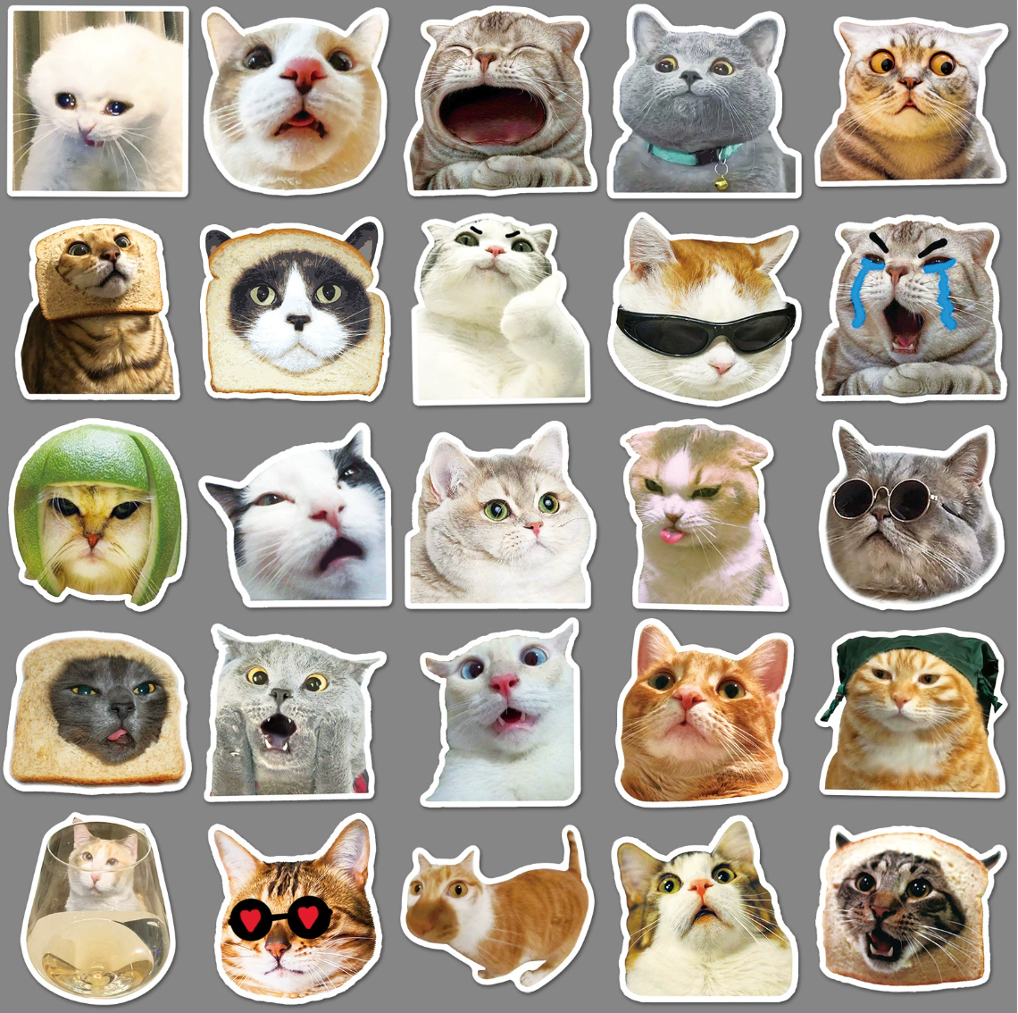 Funny Cat Sticker Pack (50 pieces)