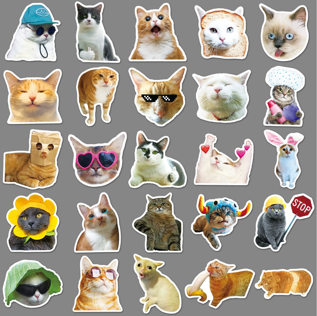 Funny Cat Sticker Pack (50 pieces)