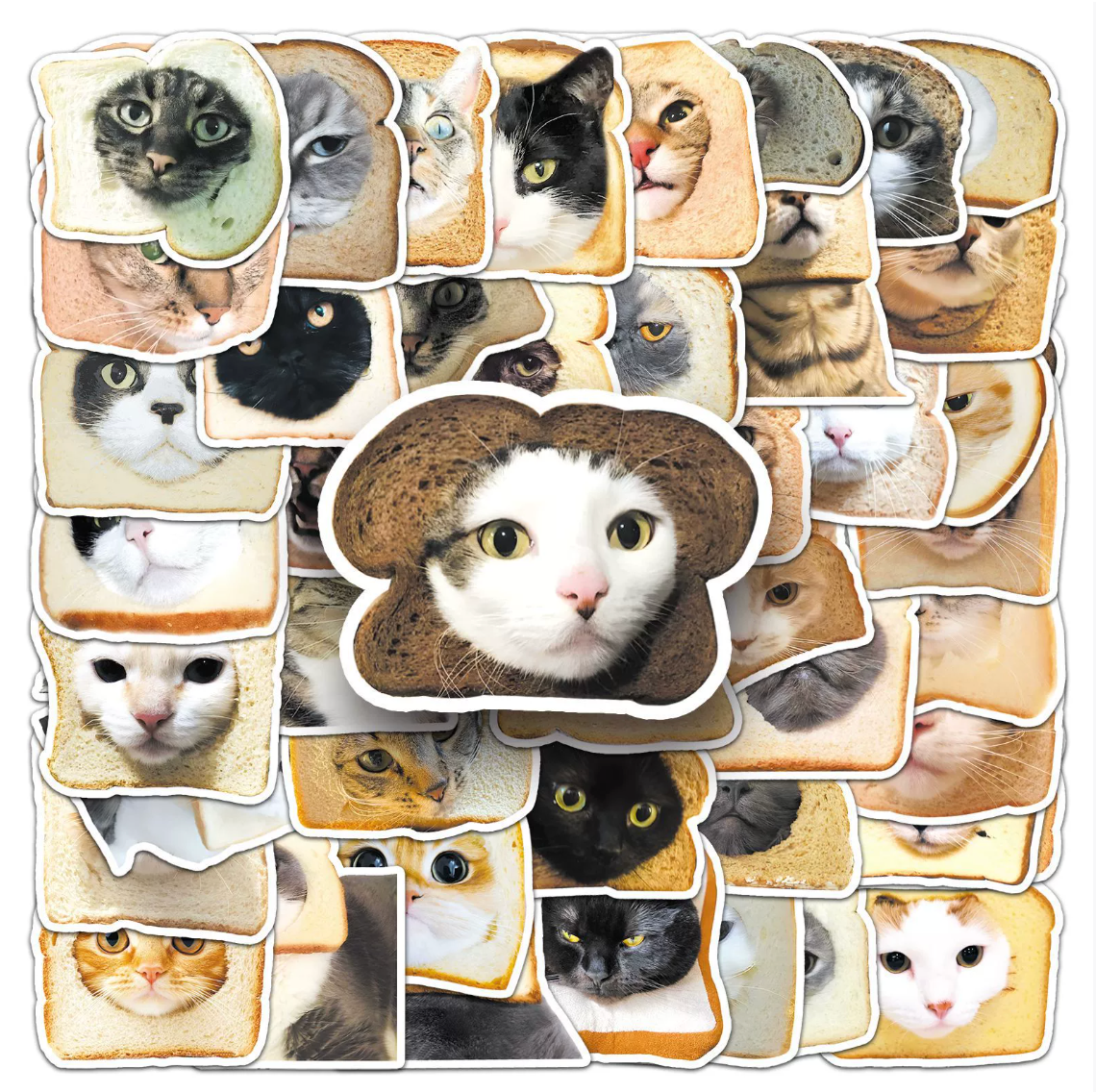 Silly Cat In Bread Sticker Pack (50 pieces)