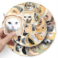 Silly Cat In Bread Sticker Pack (50 pieces)